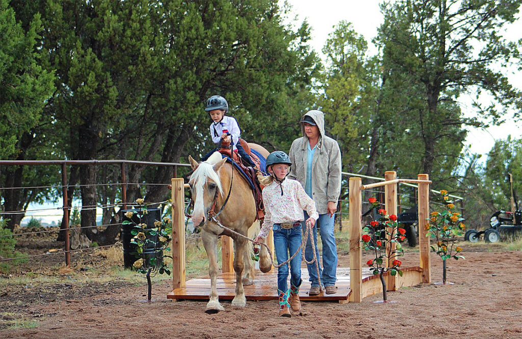 handcrafted post and rail horse bridge for farms and ranches